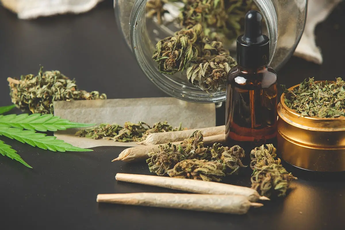 cannabis-use-and-its-role-in-marijuana-addiction-development