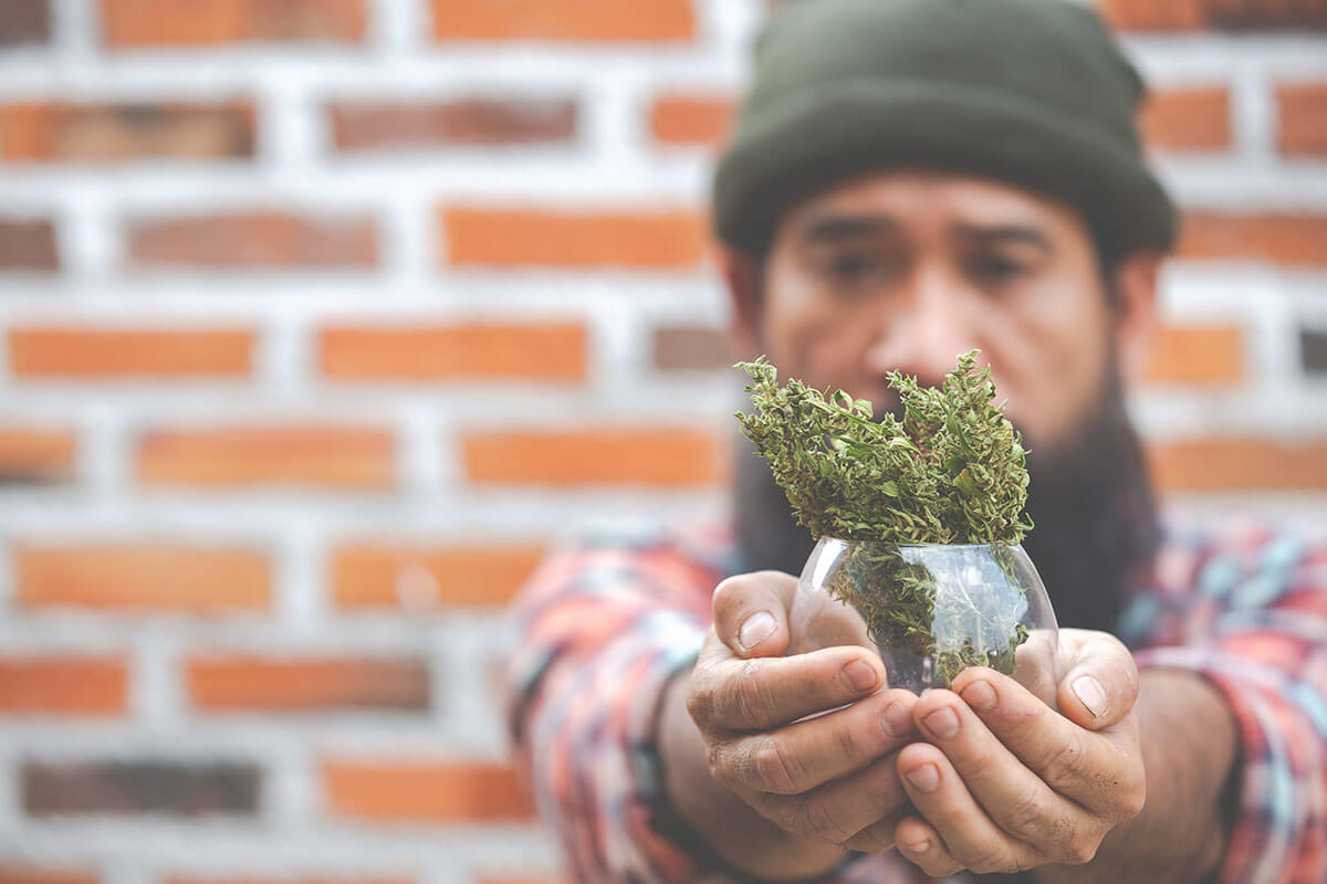 pot-addiction-in-chronic-cannabis-dependence-cases
